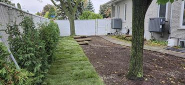 Backyard with fresh sod laid on one side and bare soil on the other.