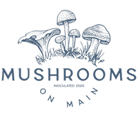 Mushrooms on Main