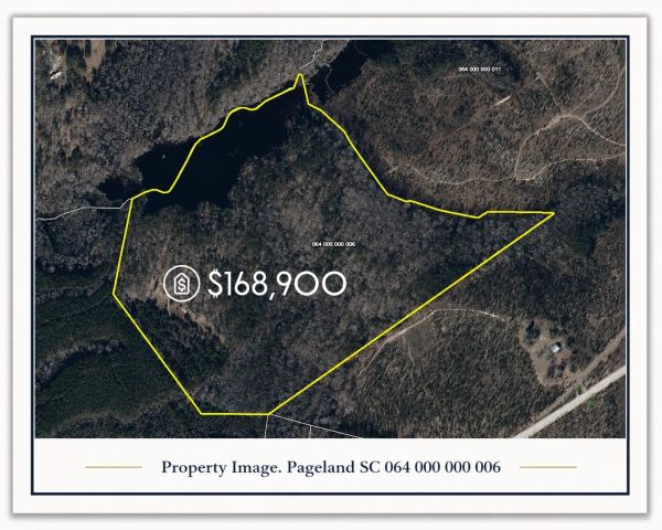 Aerial view of a wooded property in Pageland, SC, priced at $168,900.