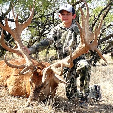 Trophy Stag Hunts & Exotic Big Game Hunts are available, call us at Coleman County Hunting to book!
