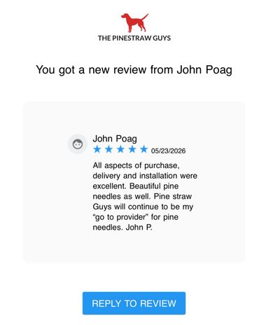 A notification of a positive customer review for The Pinestraw Guys.