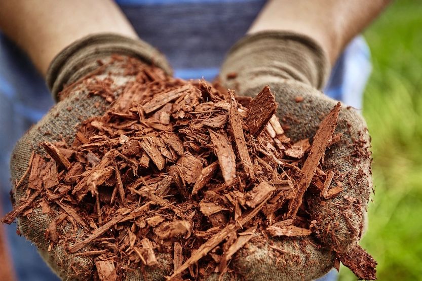 Mulch