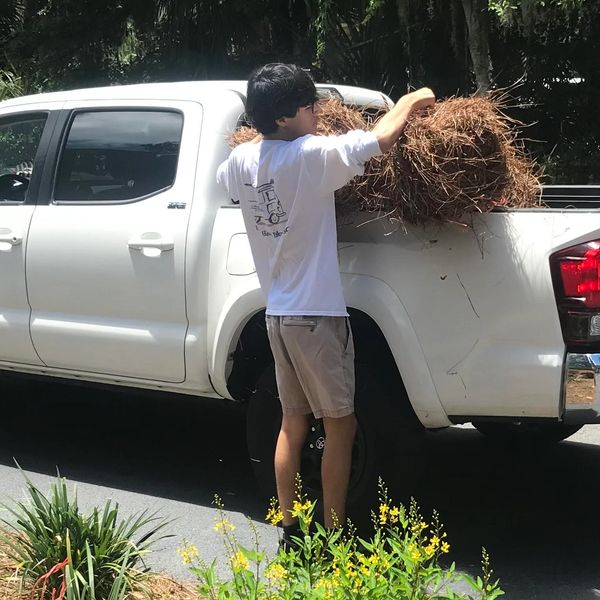 pine straw delivery bluffton sc