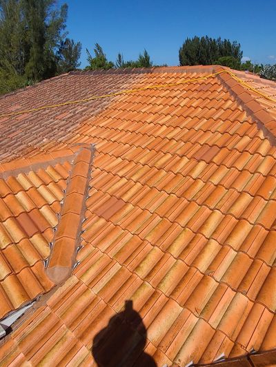 Roof Cleaning