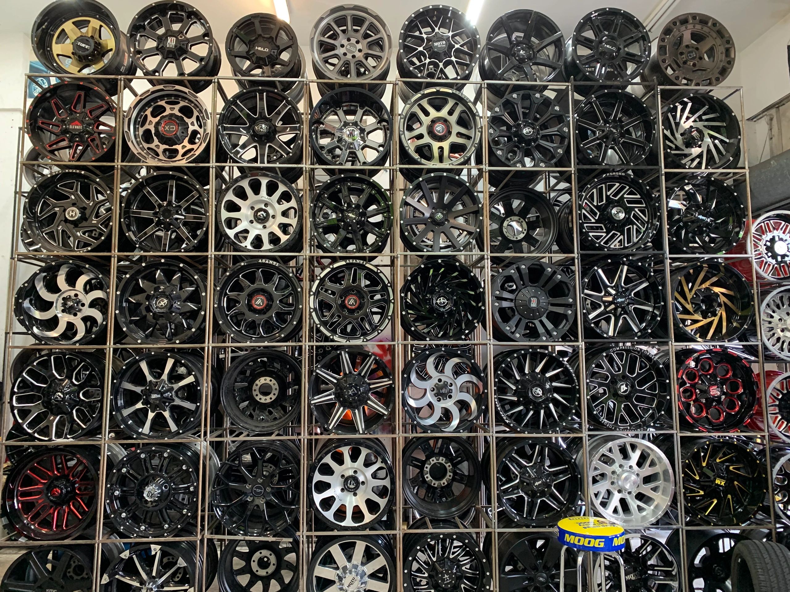 Dinosaur Tires Dinosaur Tires