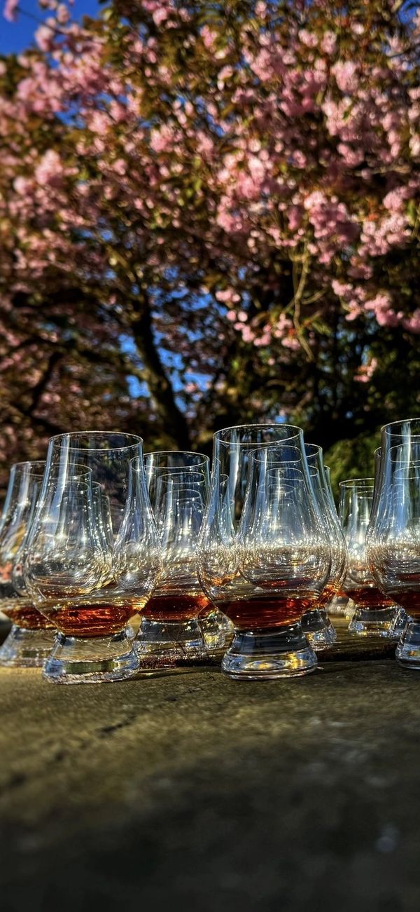 Whisky tasting in the sunshine