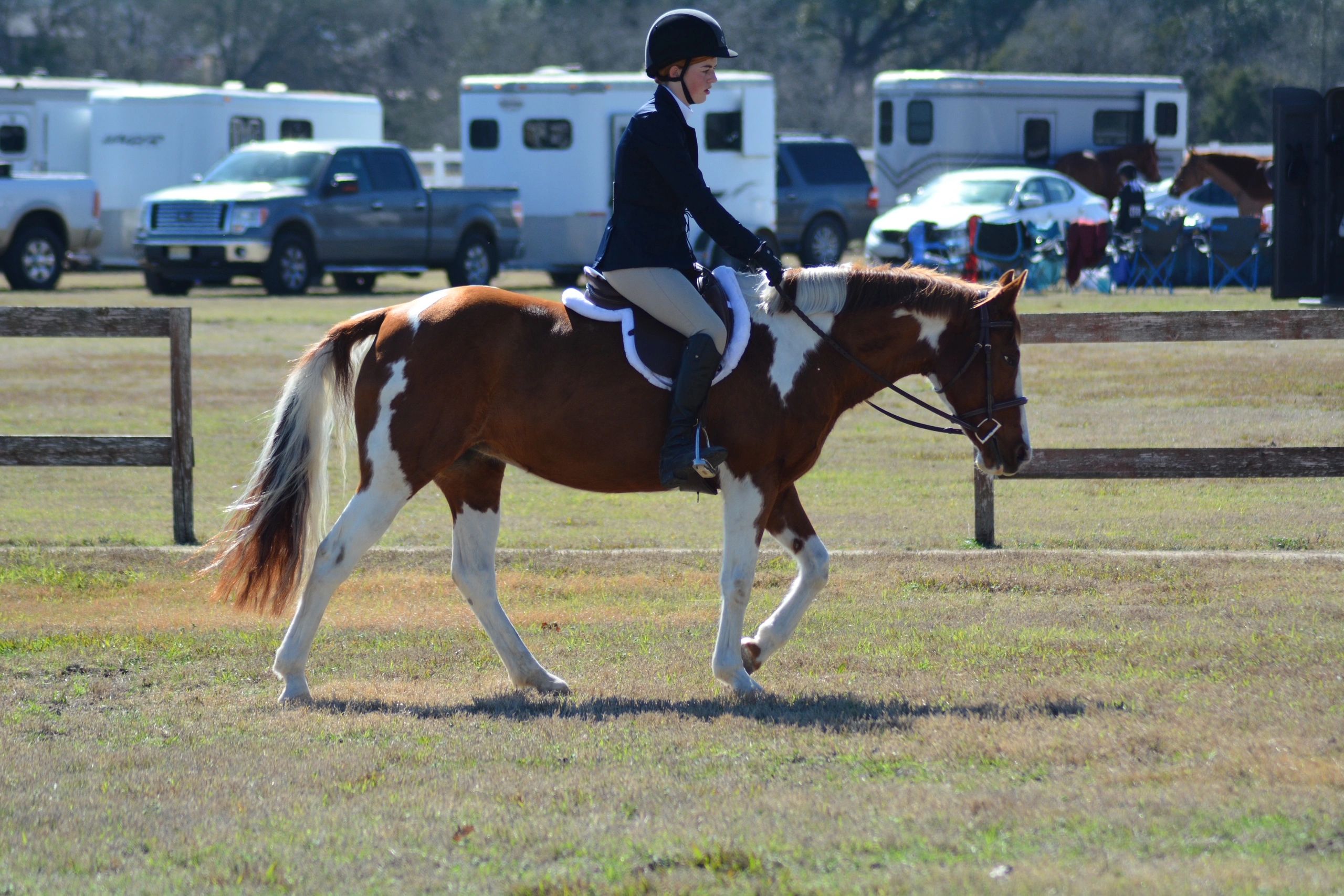 Victory Stables Equestrian Horseback Riding San Marcos, Texas