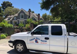 Almaden Valley Painting