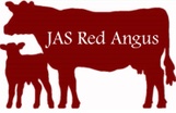 JAS Red Angus