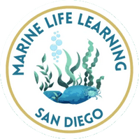 Marine Life Learning