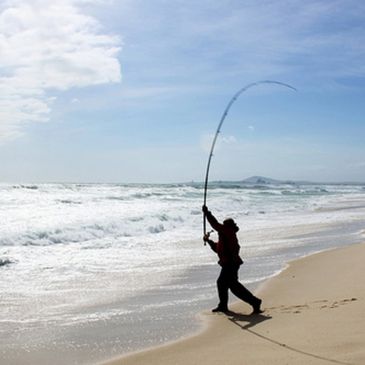 Cape May Bait & Tackle - Bait & Tackle, Fishing Gear, Crabbing