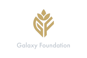 Galaxy Foundation