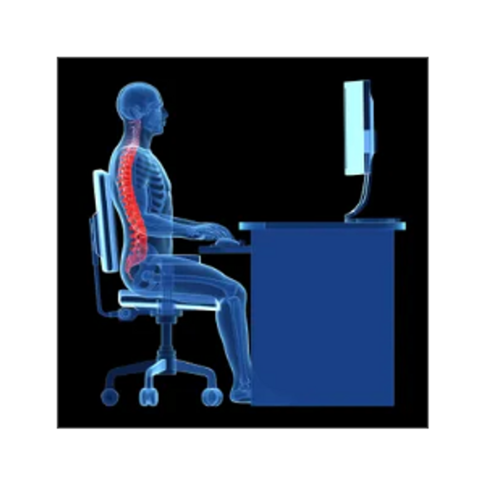ergonomic evaluation/training/assessment, ergonomic mouse, chair, monitor, desk, posture, keyboard 