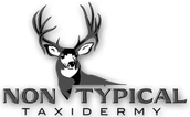 Non-Typical Taxidermy 