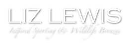 LIZ LEWIS
Inspired Sporting and Wildlife Bronzes