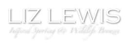 LIZ LEWIS
Inspired Sporting and Wildlife Bronzes