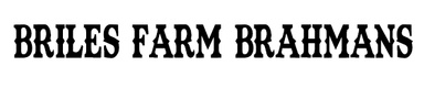 Briles Farm Brahmans