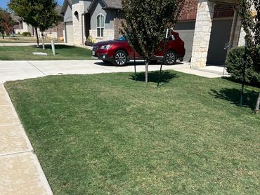 Grass cutting and edging 