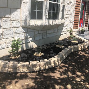 New plantings 