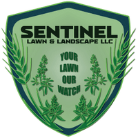 Your Lawn Our Watch