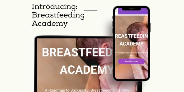 Breastfeeding Academy online course.  Taught by Suzanne Nicklas, RN, IBCLC, Doula
New Mom support Gr