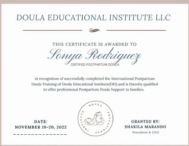Doulas by the Bay: Postpartum Doula Training 