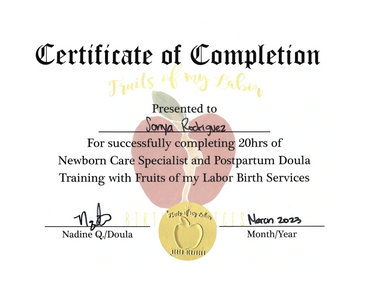 Fruits of My Labor: Newborn Care Specialist and Postpartum Doula Training