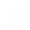 The Owl Group