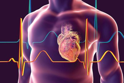 heart and ECG