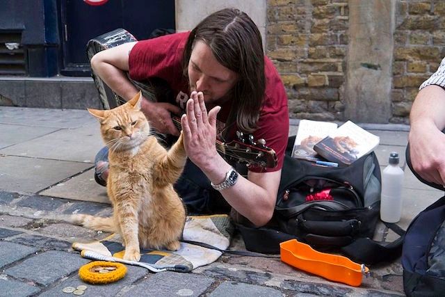 James Bowen And Street Cat Bob Talk About Supporting Street Paws