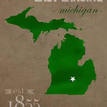 Green Michigan map with a star marking a location.
