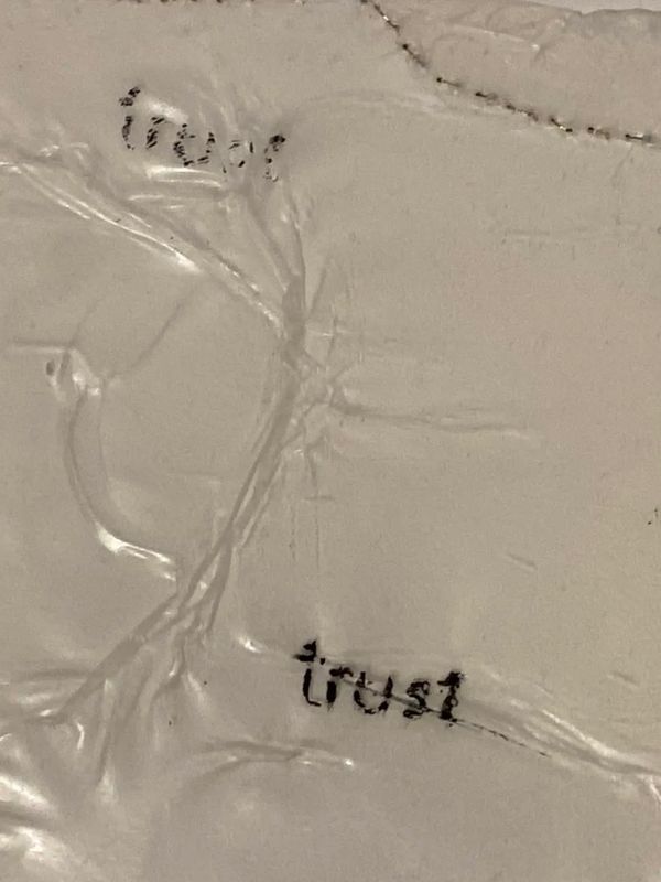 The word 'trust' printed twice on wrinkled transparent plastic.