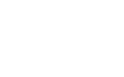 Forged Focus Coaching