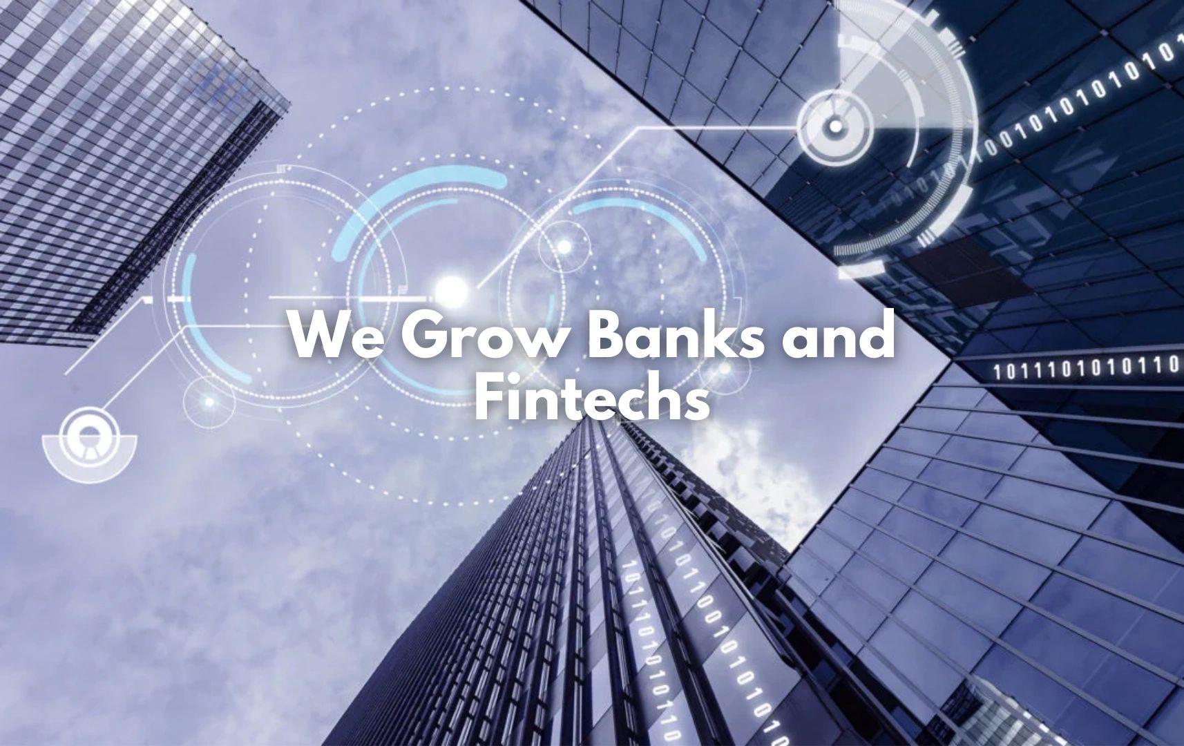 We Grow Banks and Fintechs