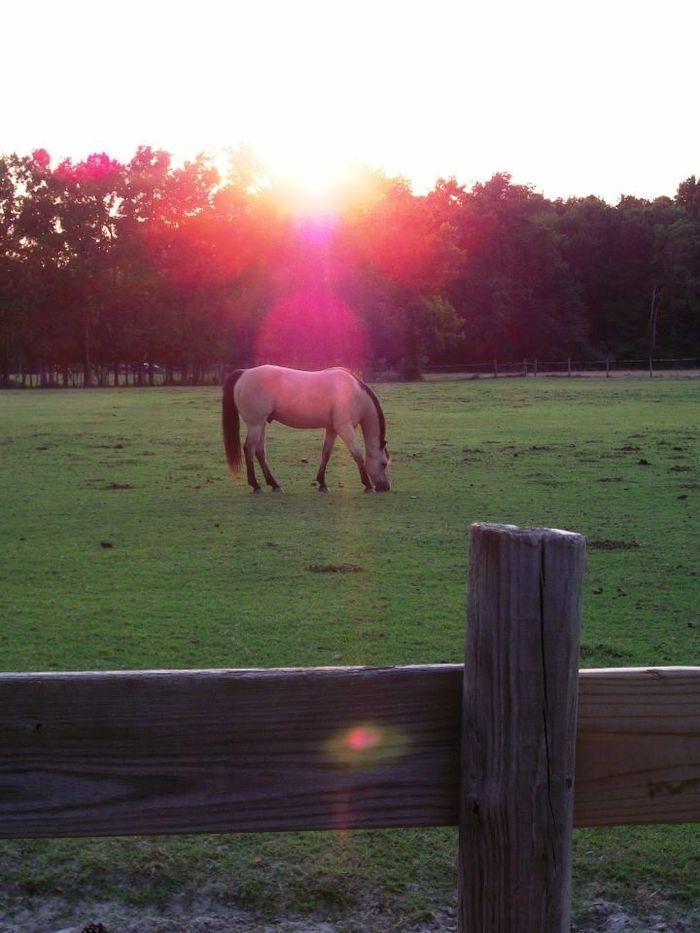 Roseoldian Farm