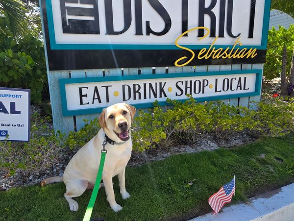 Happy dog sitting near a sign with a small American flag.