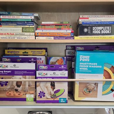 Shelf filled with dog training books and pet toys.