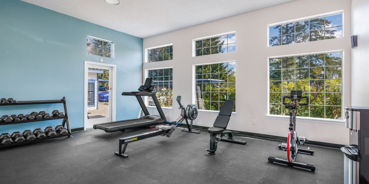Bright gym room with treadmill, rowing machine, stationary bike, and dumbbells.