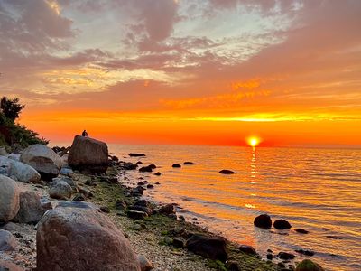 Photo by Doonam Kim, MD