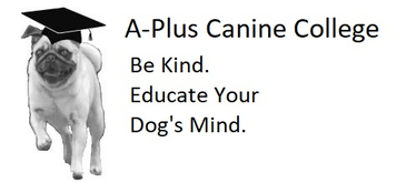 A-Plus Canine College