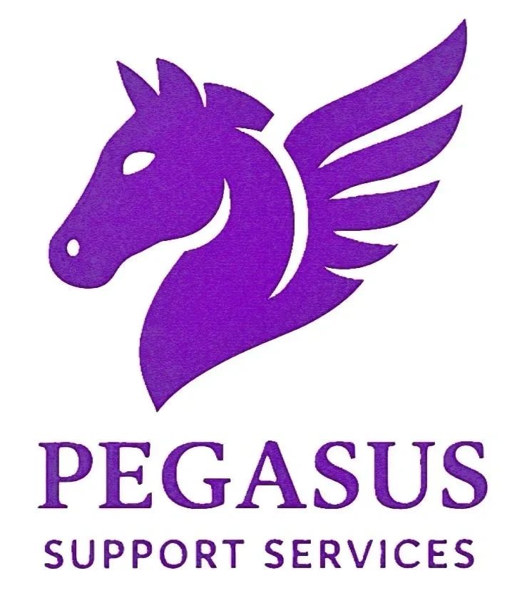 Pegasus Support Services
