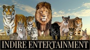 Indire Entertainment