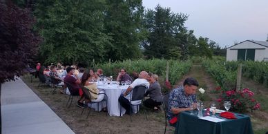 People enjoying a wine dinner in a vineyard