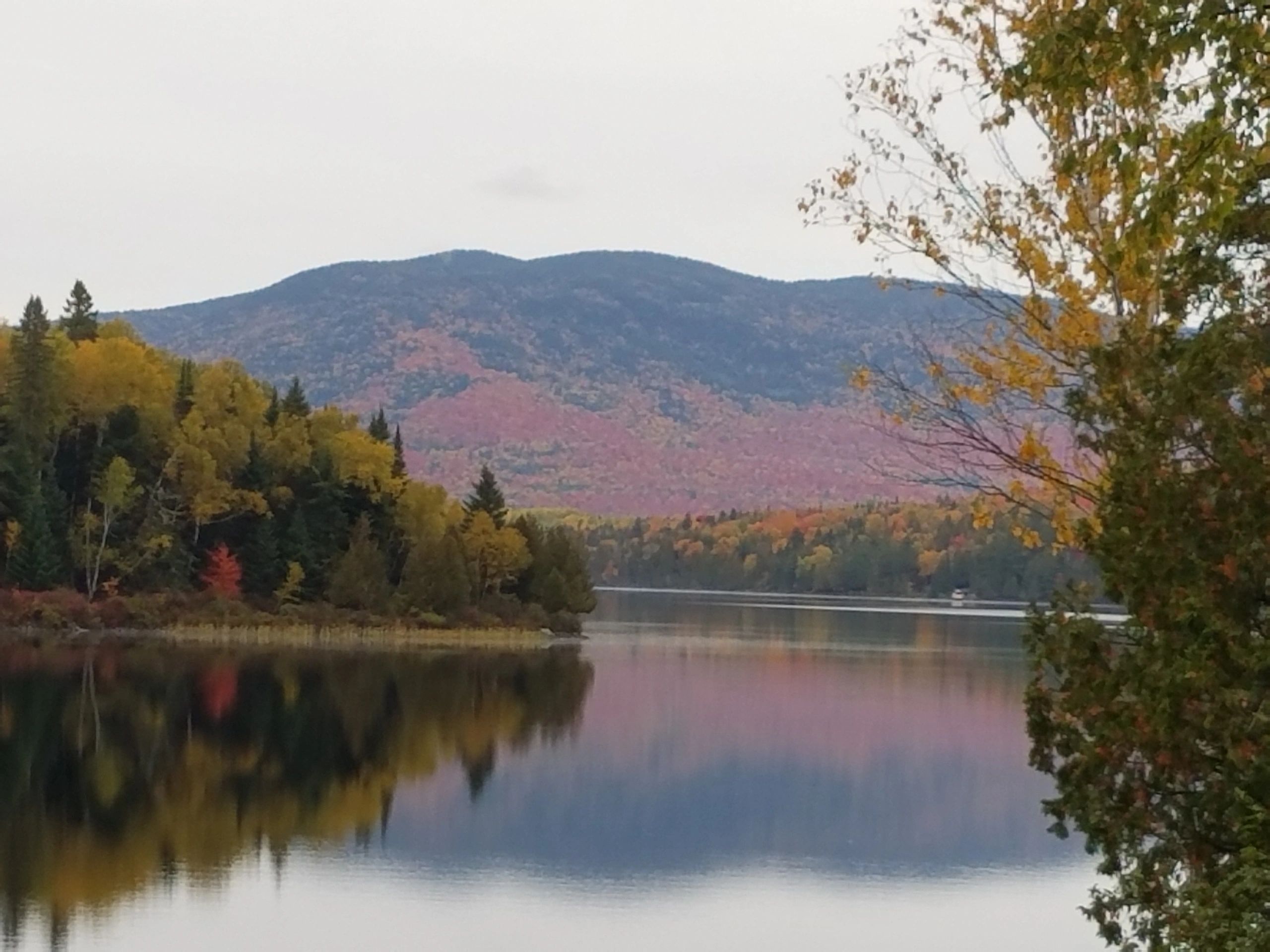 Maine Mountain Insurance, LLC Home