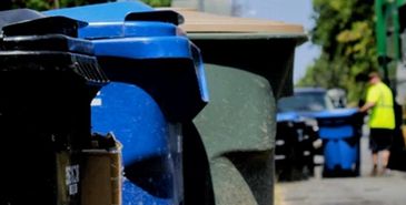 Row of blue and green garbage bins lined up on a street.