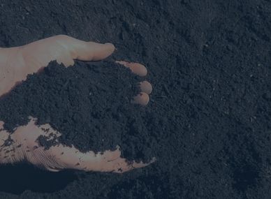 Human hands holding premium compost