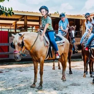 People in horses ready for the horse back ride tour. 