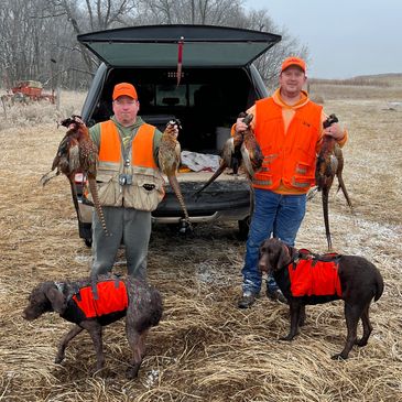 pheasant hunting Iowa