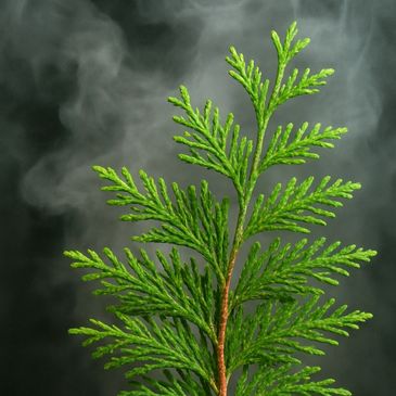 Virtual incense with rising smoke, used for reflection, cleansing, calm and spiritual intention.