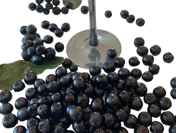 fresh aronia berries